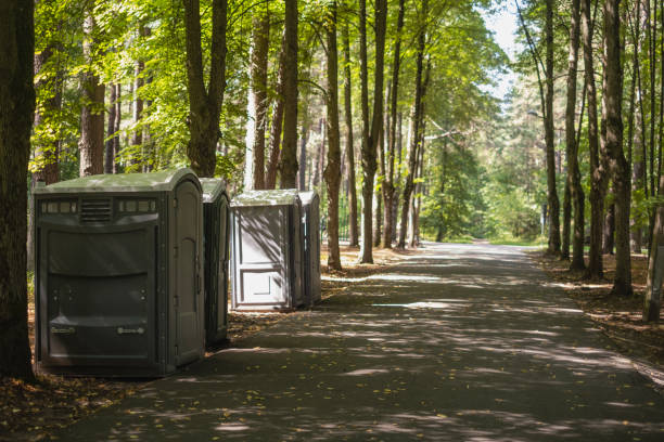 Best Local porta potty services  in Lone Tree, IA
